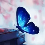 Butterfly Wallpaper (4k) icon