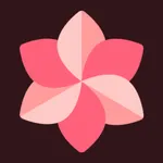 WallSpot - 4k Wallpapers icon