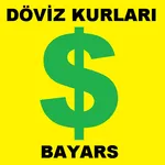 DÖVİZ ALTIN ÇEVİRİ icon