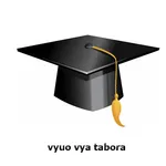 vyuo vya tabora icon