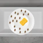 Washing Dishes icon