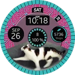 Cat Wheel Watch Face icon