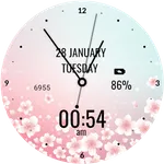Pink Blossom Love Watch Face icon