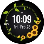 Sunflowers Watch Face icon