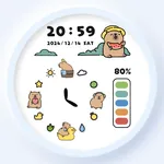 Summer Capybara Watch Faces icon
