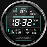 LCD Informer Minimal watchface icon