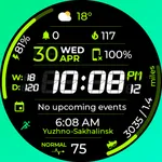 Chester Sport Pro watch face icon