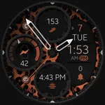 Dream 150 Leopard Watch Face icon