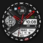 Animated FS W250 Watchface icon
