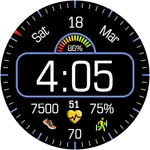 Iris4010 Digital Watch Face icon