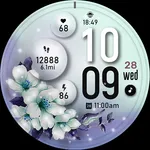ML2U 303 Watch Face icon