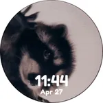 Pedro Pedro Raccoon Animated icon