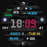 PRADO 19 Digital Watch Face icon