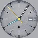 Skagen - Analogue Watch Face icon