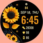 Sunflower Bloom icon