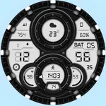 WFP 303 Hybrid watch face icon