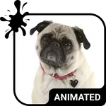 Cute Pug Keyboard Wallpaper HD icon