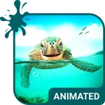 Cute Turtle Wallpaper Theme icon