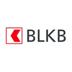 BLKB wallet by wearonize icon