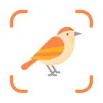 Bird Identifier: Bird Watching icon