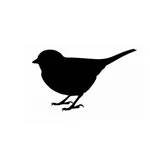 Fuglesafari icon