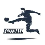 Wiki Ball Live Football Score icon