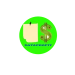 DataProfit icon