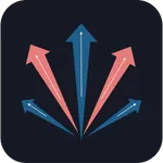 WinOption icon