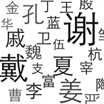 My Chinese Name icon