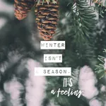 Aesthetic Winter Wallpaper 4K icon