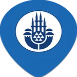 ibbWiseUp icon