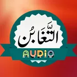Surah Tagabon Audio icon