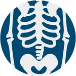 Anatomy notes:Abdomen & Pelvis icon