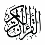 Quran 16 Line Hifz & Memorize icon