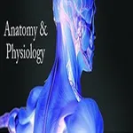 Anatomy & Physiology 2023 icon