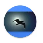 Radio Plenitud Laborde icon