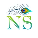 NS FIBER icon