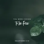 Bible Quotes for Life icon
