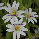 Simple Life Quotes icon