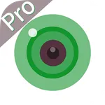 iCSee Pro icon