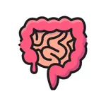 Specific Carbohydrate Diet Dia icon