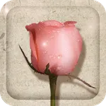 Rose And Poetry Live Wallpaper icon