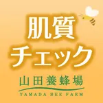肌質チェック icon