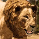 Ultimate Lion Simulator icon