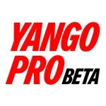 Yango Pro Beta icon