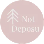 Not Deposu icon