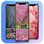 Autumn Wallpapers Backgrounds icon