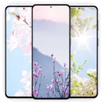 Spring Wallpaper Live icon