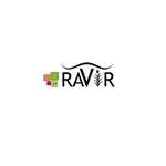 Ravir 24 icon