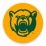 Baylor In-Game icon